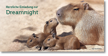 Einladung zur Dreamnight - Zoo Krefeld